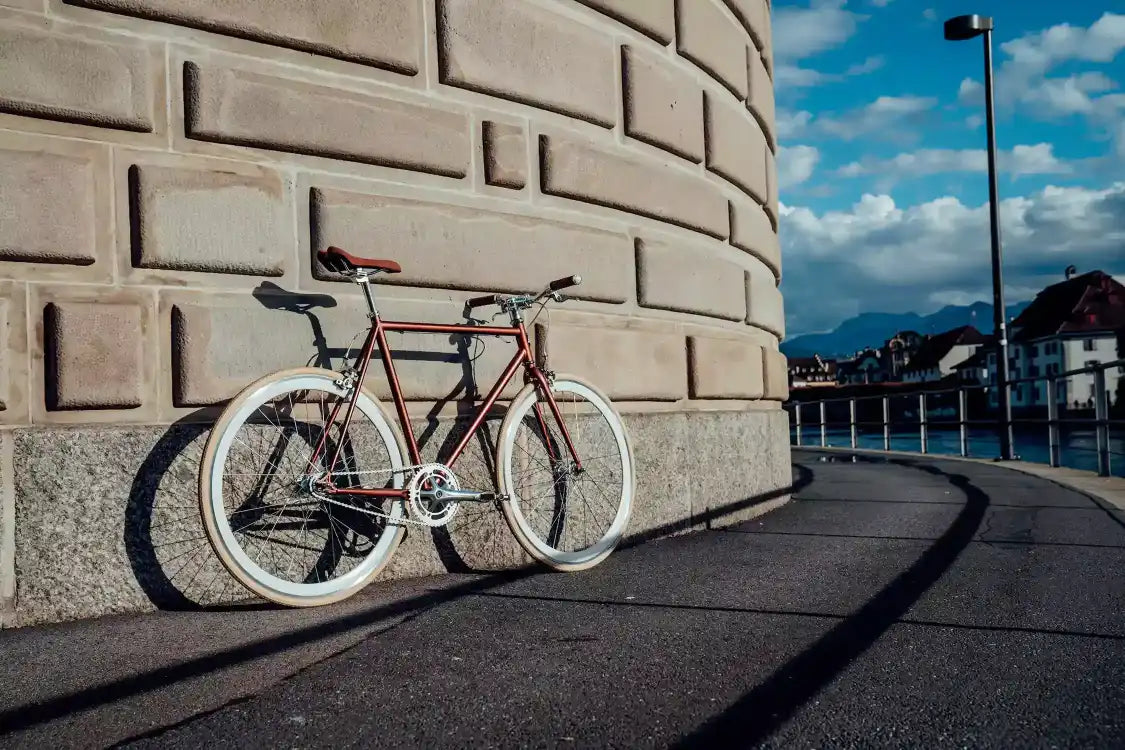 Fixie Singlespeed - Brown